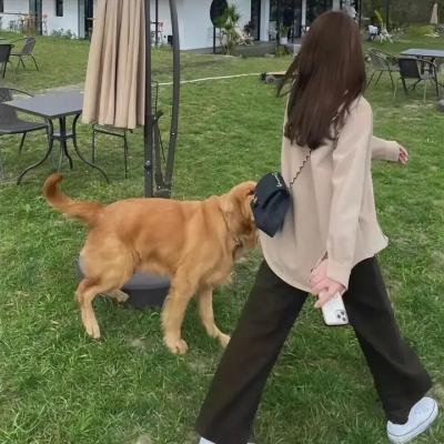 石头的呐喊